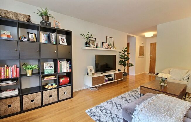 Dazzling 1 bed 1 bath - Lower Queen Anne!