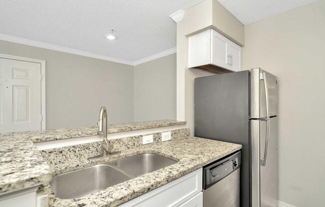 Kitchen area featuring a granite countertop with a double sink, a stainless steel dishwasher, and a refrigerator. The walls are painted in a light color, with a view of a door in the background.