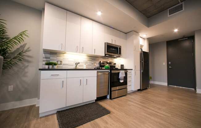 Under Cabinet Lighting in Modern Kitchen