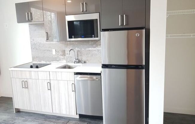 Studio, 1 bath, 241 sqft, $1,370, Unit 407