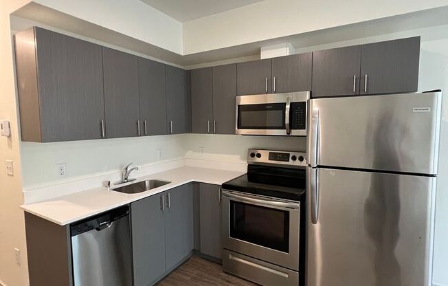 Studio, 1 bath, 306 sqft, $1,245, Unit 203