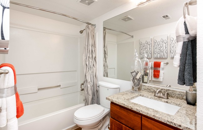 a bathroom with a shower toilet and sink and a mirror