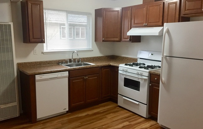 2 beds, 1 bath, $1,595