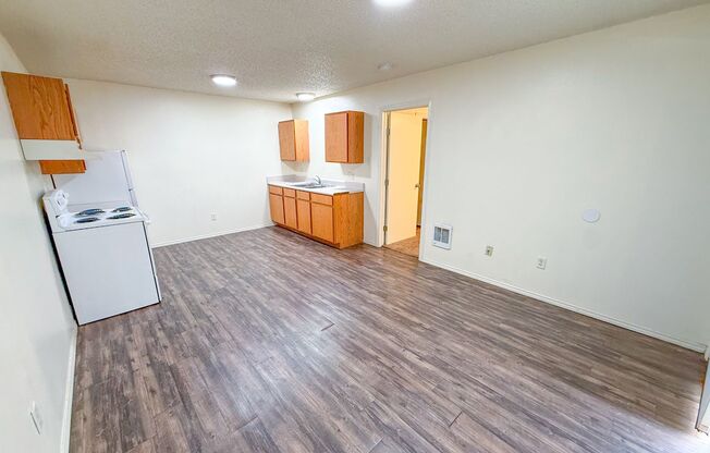 1 bed, 1 bath, 480 sqft, $600