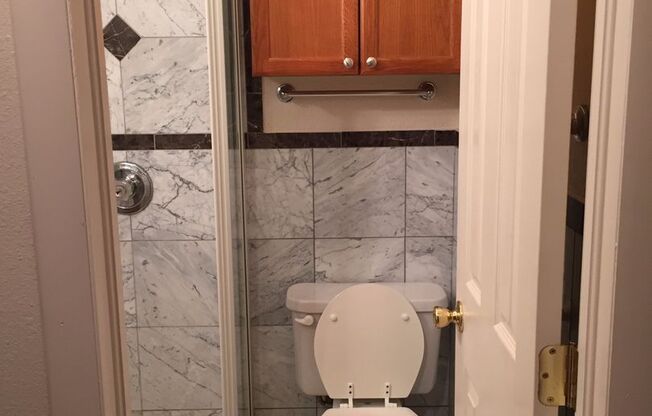 Studio, 1 bath, 250 sqft, $1,195, Unit 102