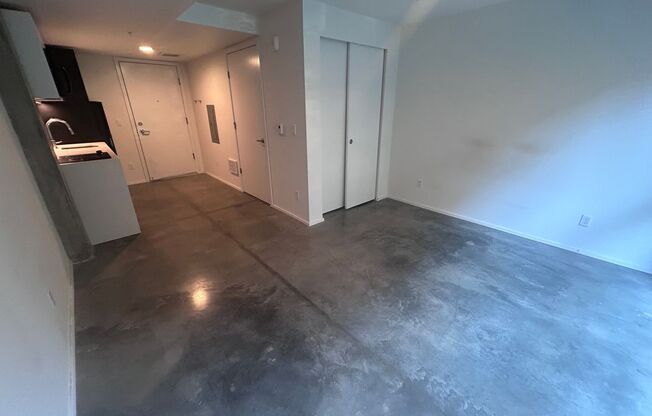 Studio, 1 bath, 310 sqft, $1,299, Unit 406