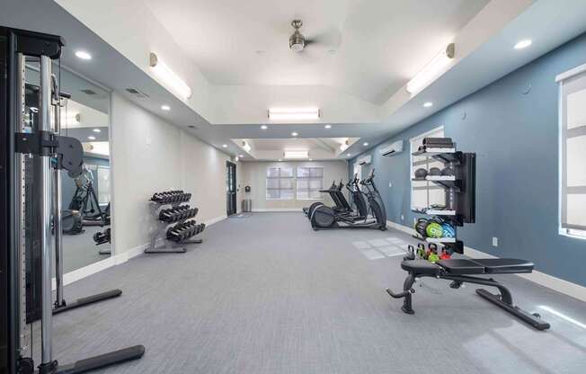 A spacious gym with a variety of equipment including treadmills, stationary bikes, and weight machines.