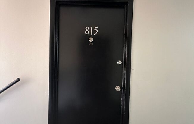 Studio, 1 bath, 400 sqft, $700, Unit 815