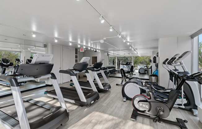 a gym with treadmills and ellipticals and other exercise equipment