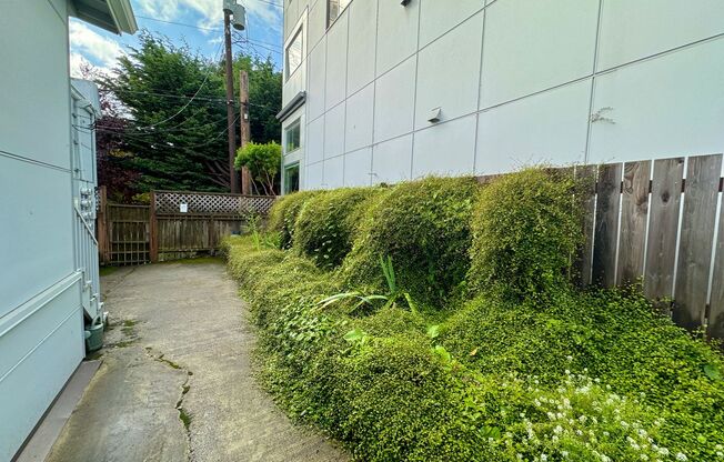 2 beds, 1 bath, $1,650, Unit Apt 6