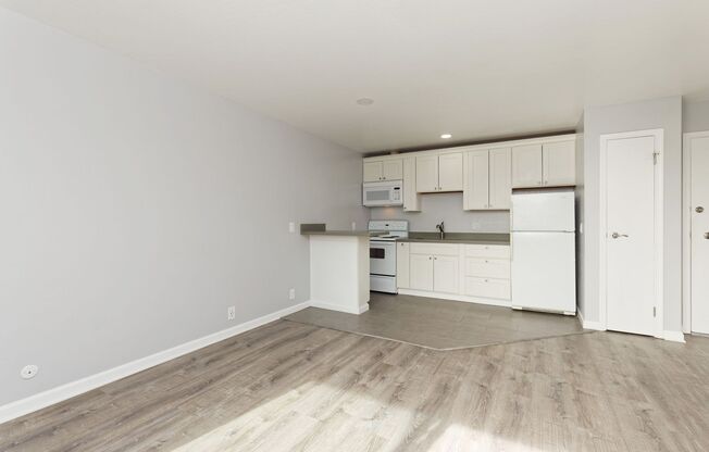 1 bed, 1 bath, 500 sqft, $1,695, Unit 308