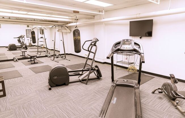 1 bed, 1 bath, 736 sqft, $1,250, Unit 230