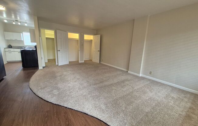 Studio, 1 bath, $1,295, Unit 209