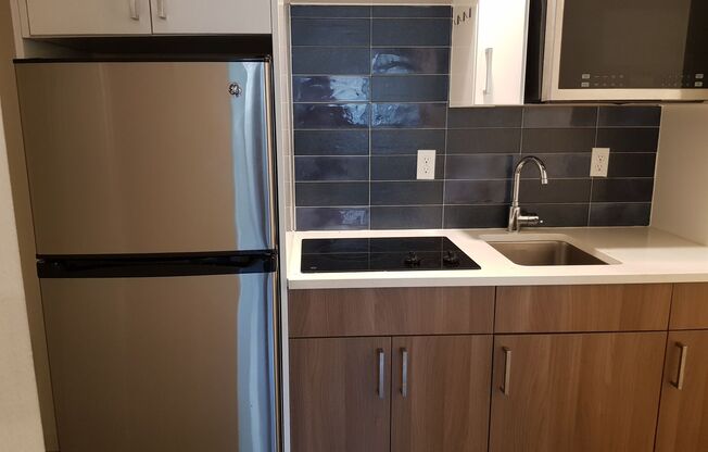 Studio, 1 bath, 244 sqft, $1,495, Unit 113 - Furnished