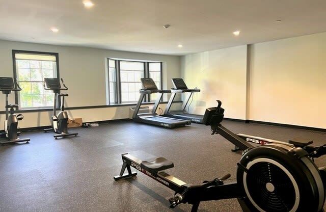 a room with a lot of exercise equipment in it