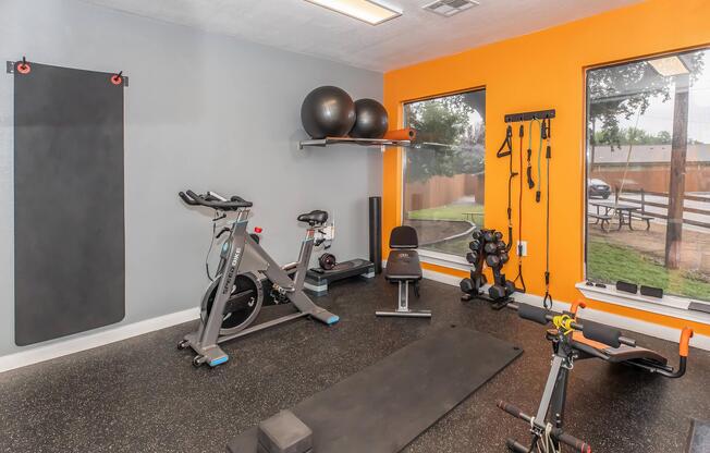 A home gym featuring a stationary bike, free weights, and resistance bands. There are exercise mats, a wall-mounted stability ball rack, and large windows providing natural light. The walls are painted gray and bright orange, creating a vibrant and motivating workout environment.