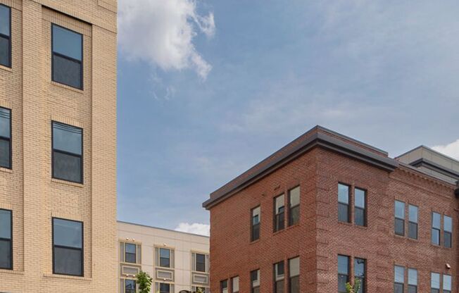 Studio, 1 bath, $1,315, Unit 1050 N 4th St. Apt. 207