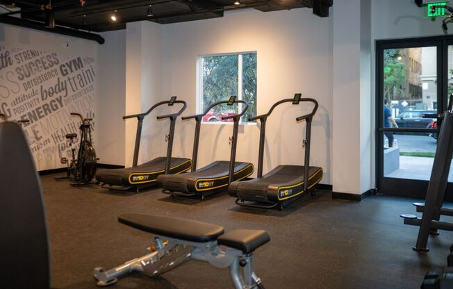 Cardio Equipment at Fedora Bliss LLC, Woodland Hills, California