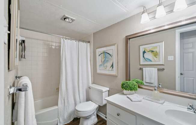 Model Bathroom at Davenport Apartments in Dallas, TX