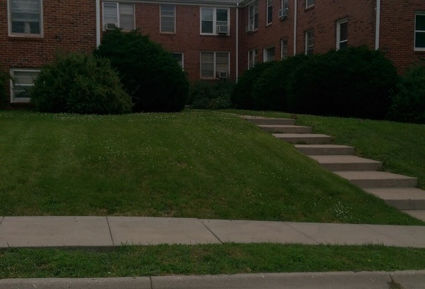 1 bed, 1 bath, $825, Unit 11