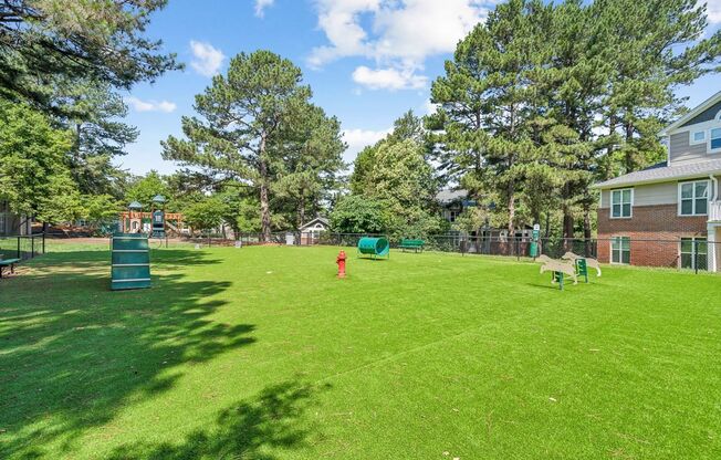 a backyard with a dog park and a playground