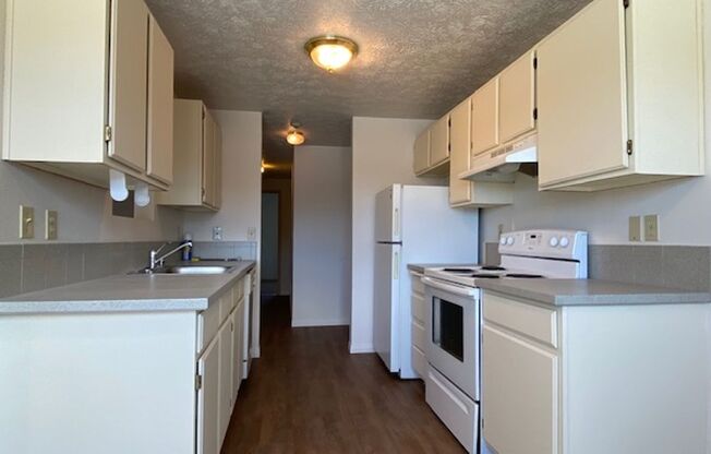 2 beds, 1 bath, 1,000 sqft, $1,150, Unit 203