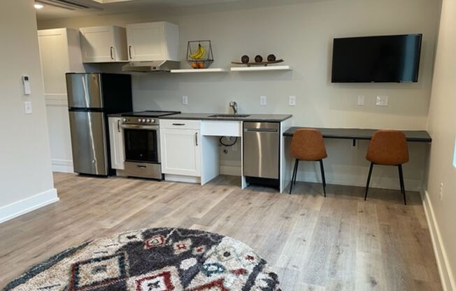 Brand New Market Rate Studio and One Bedrooms