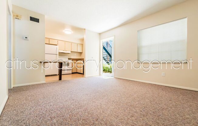 Rarely Available 1/1 at McLean Apartments in College Park!