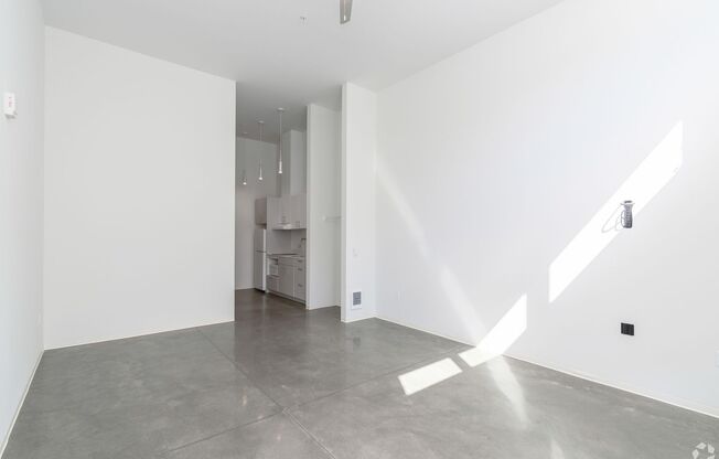 Studio, 1 bath, 452 sqft, $1,185, Unit 102