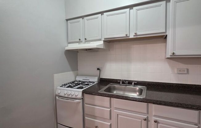 Studio, 1 bath, 325 sqft, $900, Unit 205