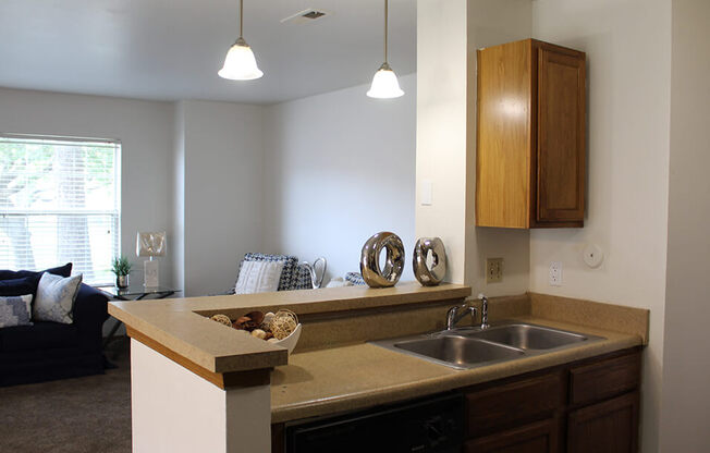 a kitchen with a sink and a dishwasher