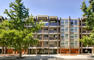 1 bed, 1 bath, 500 sqft, $1,695, Unit 308