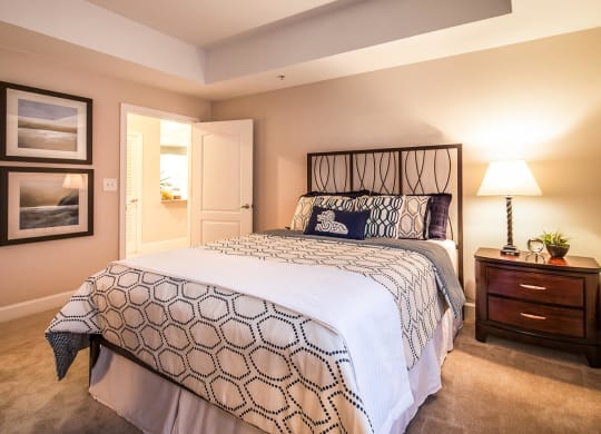 Large Guest Bedrooms at Windsor at Midtown, 222 14th Street NE, Atlanta