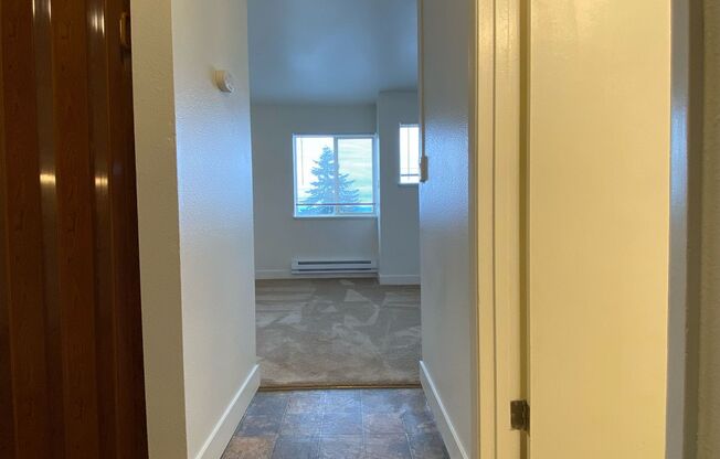 Studio, 1 bath, 563 sqft, $875, Unit Unit 304