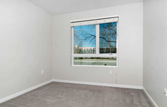 Carpeted Bedroom