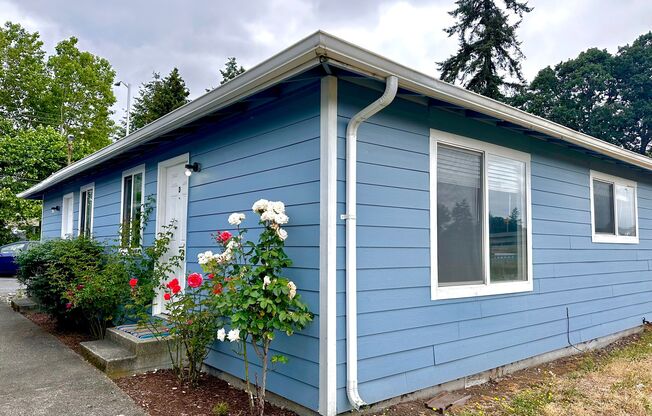 Union Square Apartments - Remodeled Units