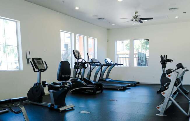 A gym with treadmills, elliptical machines, and stationary bikes.