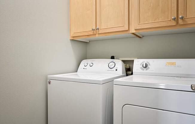 A washing machine and dryer are sitting next to each other.