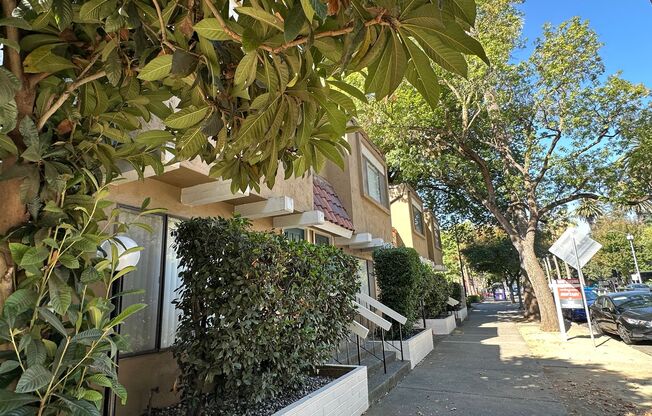 Near Everything, All Amenities!  1616 Q Street, Camellia Court Apartments