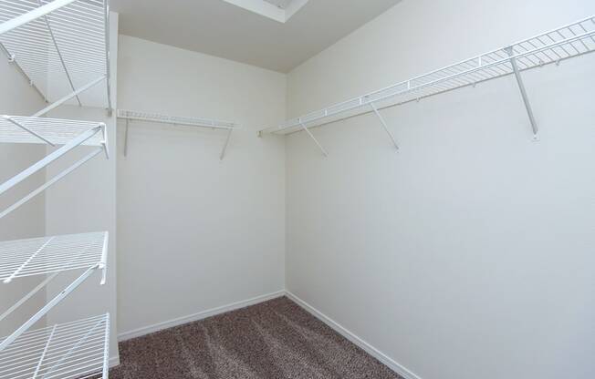 Walk-In Closets in specific apartments