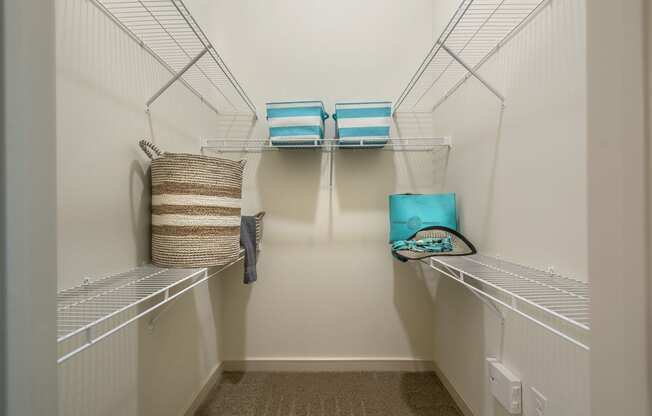 a spacious walk in closet with shelves and baskets at South Side Flats, Dallas, TX, 75215