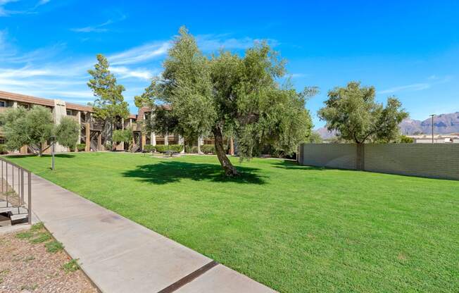 Green Space at Verde Apartments in Tucson, AZ, 85719