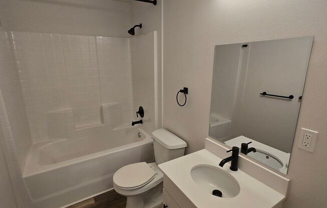 Studio, 1 bath, 356 sqft, $1,550, Unit 205