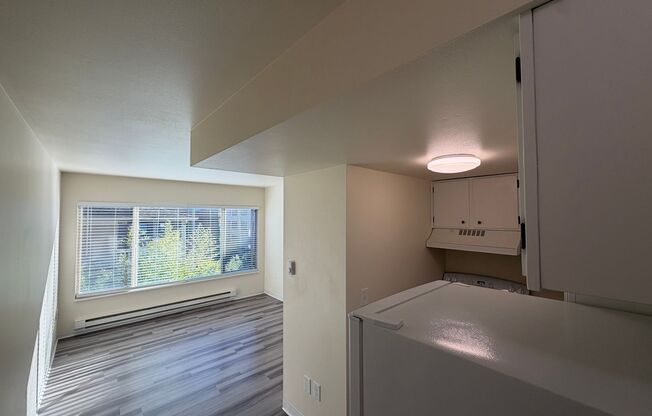 Studio, 1 bath, 400 sqft, $1,195, Unit 206