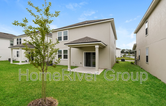 32 BRAZIL NUT CIR
