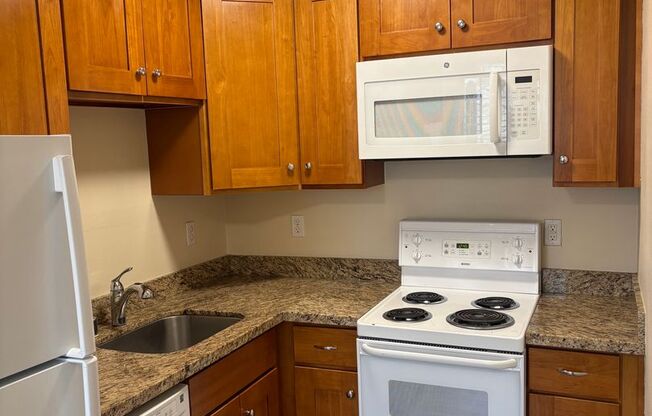 Studio, 1 bath, 454 sqft, $1,495, Unit 204