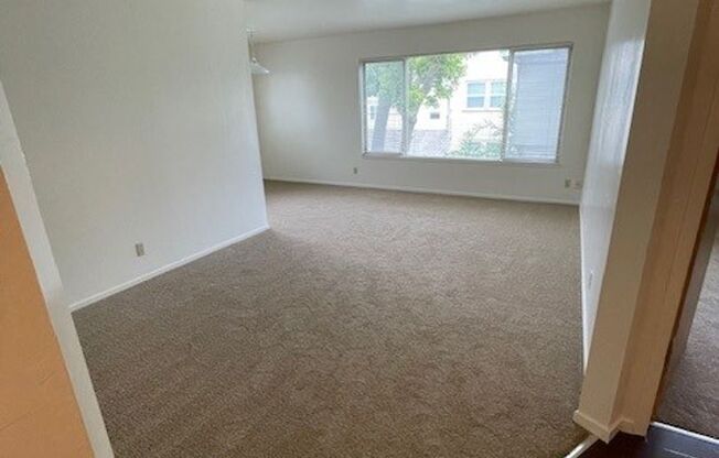 Coming Soon-Spacious 2 Bedroom,1 Bathroom, spacious living room with lots of light. in Walkers Paradise