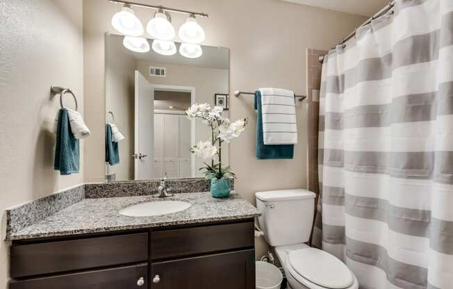 Mount Vernon Apartments | Desoto TX | Large Bathroom