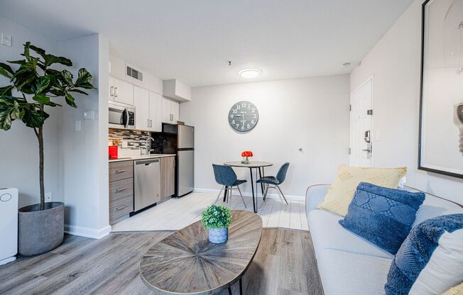 1 bed, 1 bath, 455 sqft, $1,750, Unit A-102