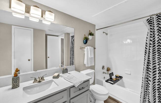 a bathroom with a sink and a toilet and a shower